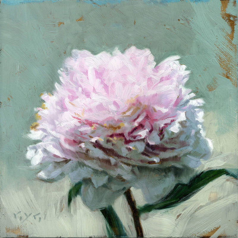 Peony 09"x09"