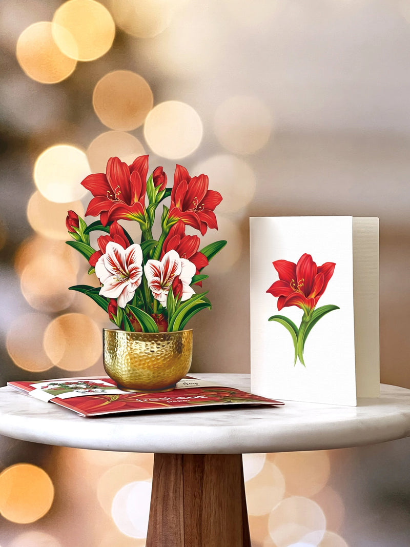 Mini Scarlett Amaryllis Pop Up Greeting Card