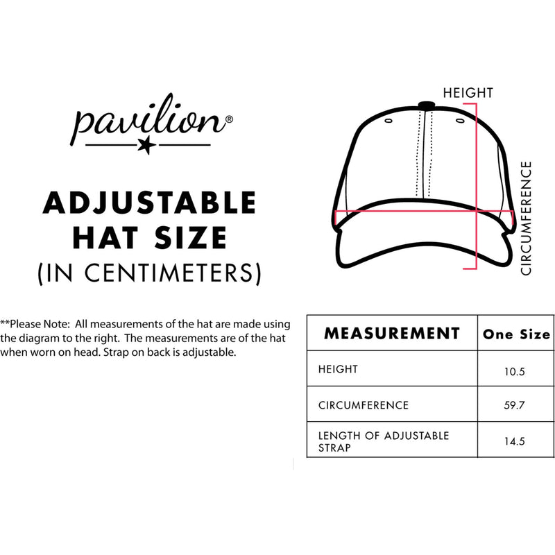 The Legend - Gray Adjustable Hat
