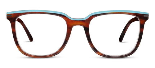 Dante Tortoise Horn +4.00