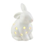 Bunny Light-Up Sitter