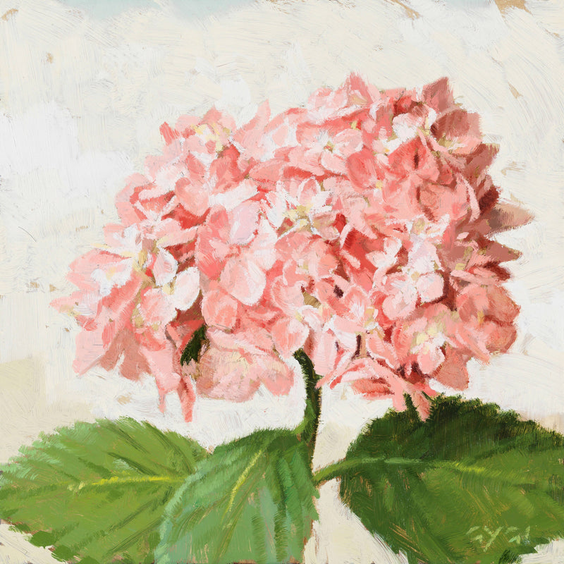 Gygi Pink Hydrangea 9"x9"
