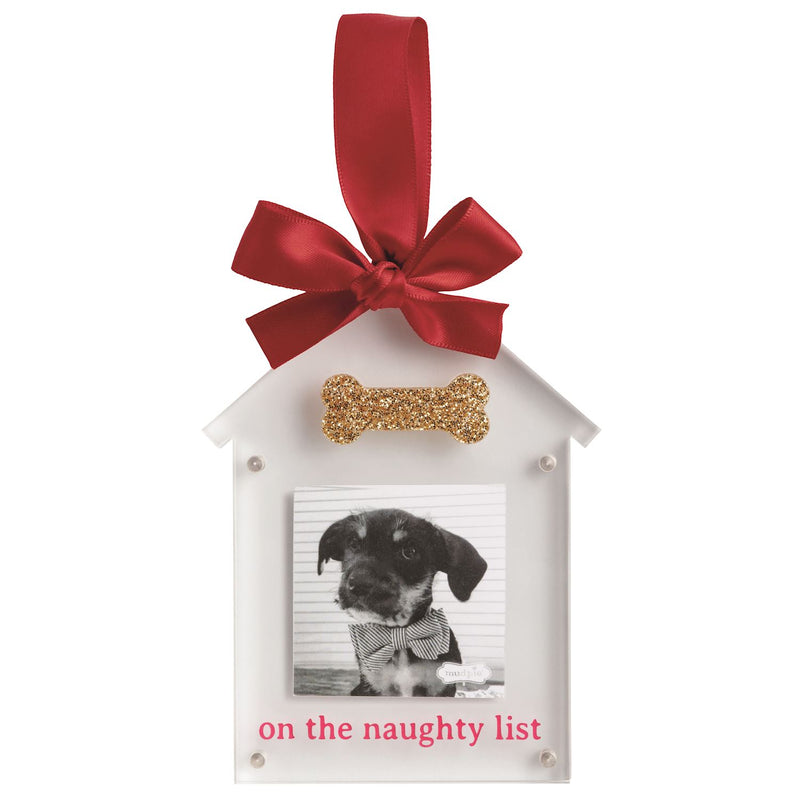 Acrylic Bone Ornament Frame