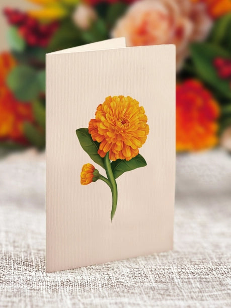 Mini Pumpkin Spice Pop Up Greeting Card