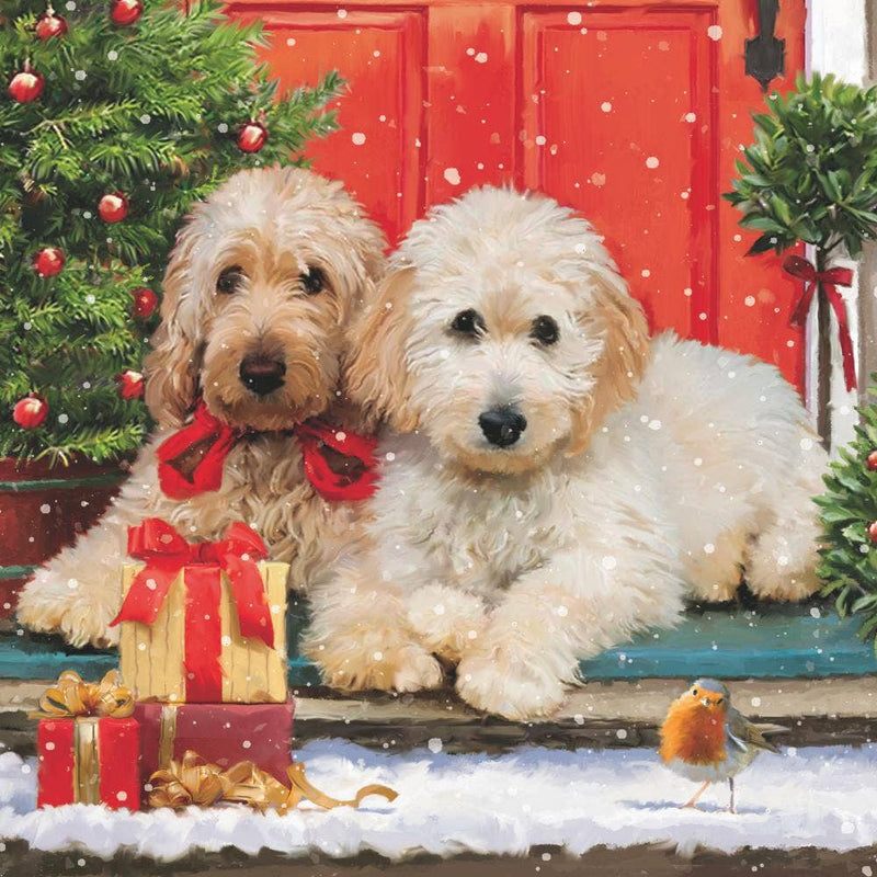 BEV- DOGS AT THE DOOR BY AMBIENTE