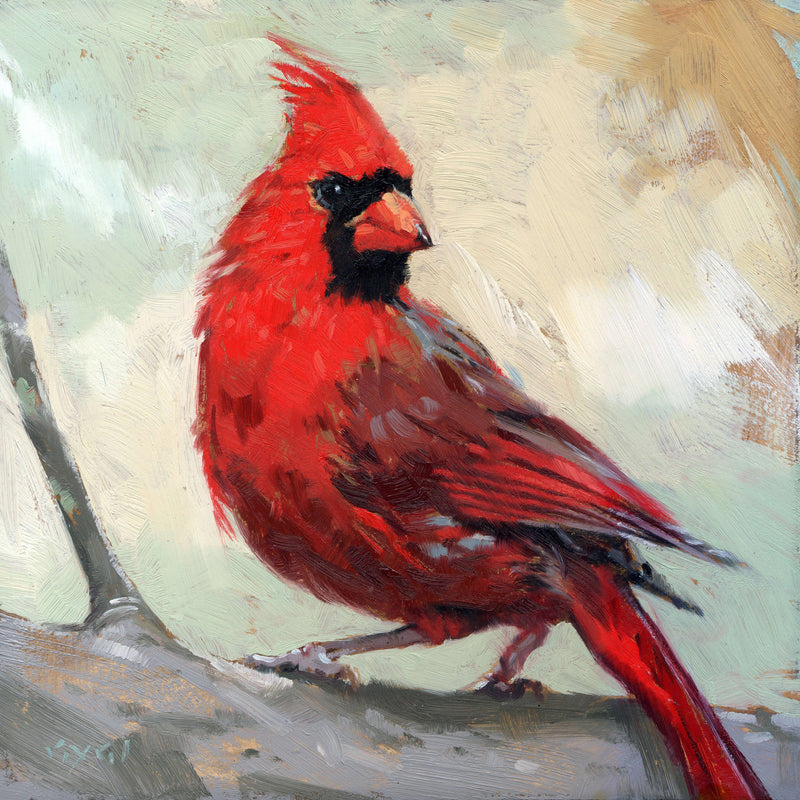 Cardinal 09"x09"