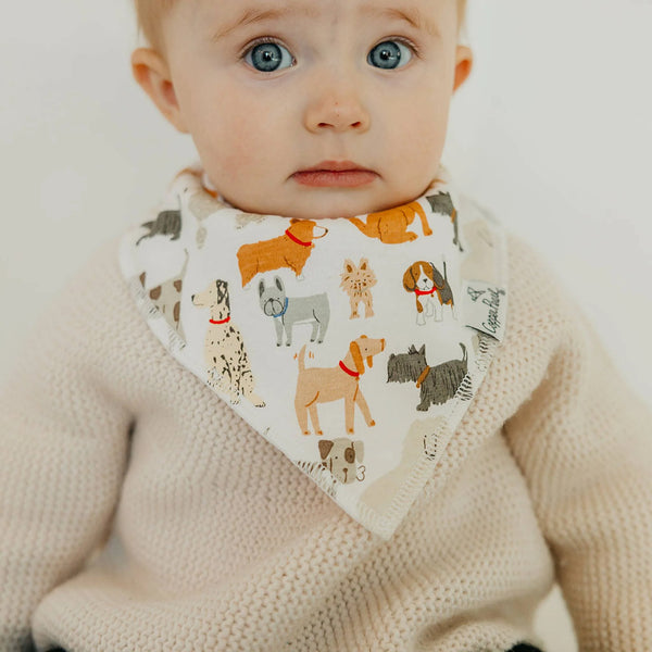 Rufus Baby Bandana Bib Set (4-Pack)