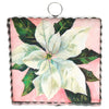 Mini Gallery White Poinsettia