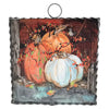Mini Rozie's Barn Pumpkins