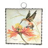 Mini Rozie's Fall Hummingbird