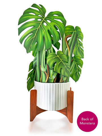 Monstera Pop Up Greeting Card