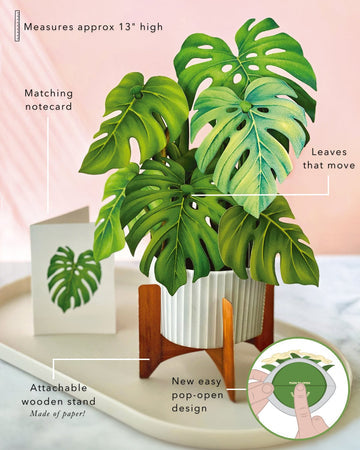 Monstera Pop Up Greeting Card