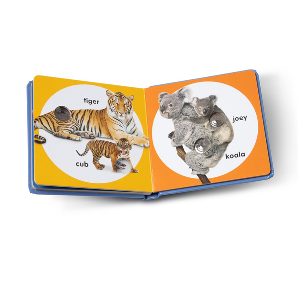 Poke-A-Dot Wild Animal Families