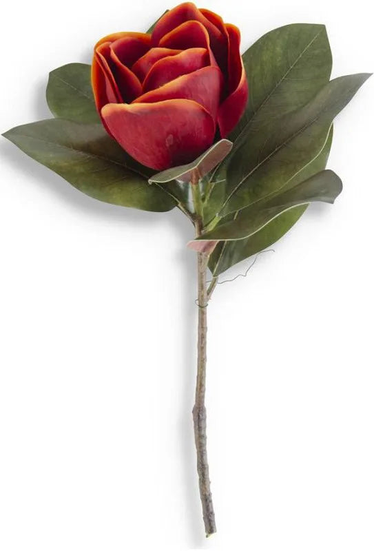 17 Inch Orange Magnolia Stem