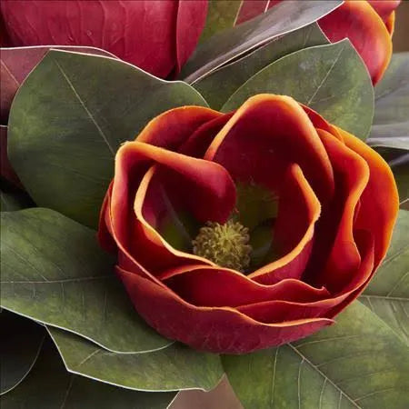 17 Inch Orange Magnolia Stem