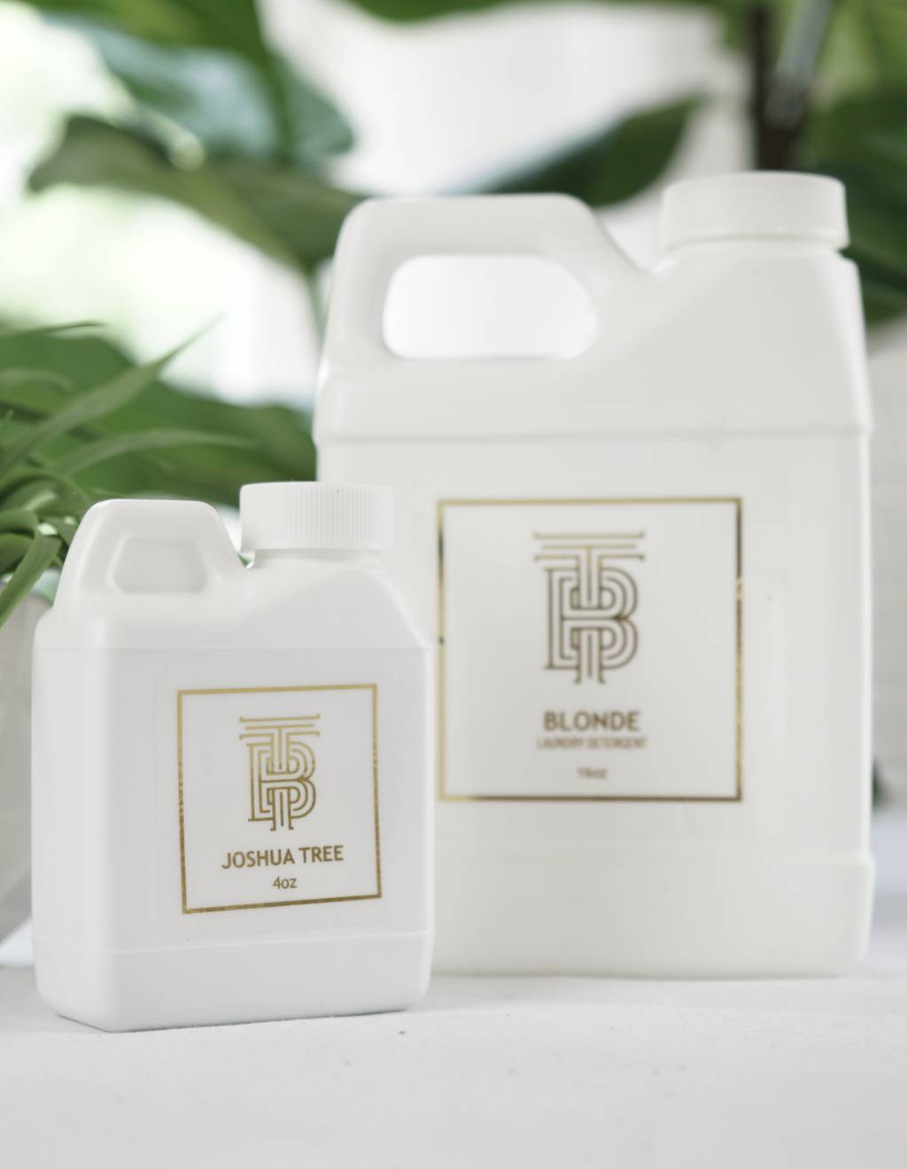 Thomas Blonde Joshua Tree Laundry Detergent