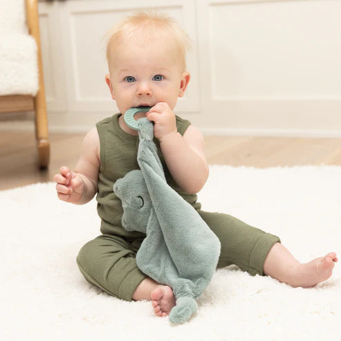 Teether Buddy Freddy the Frog