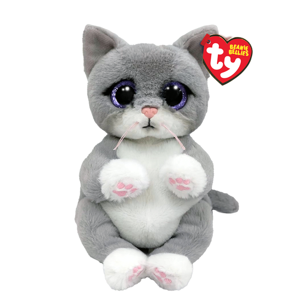 Morgan Grey Cat
