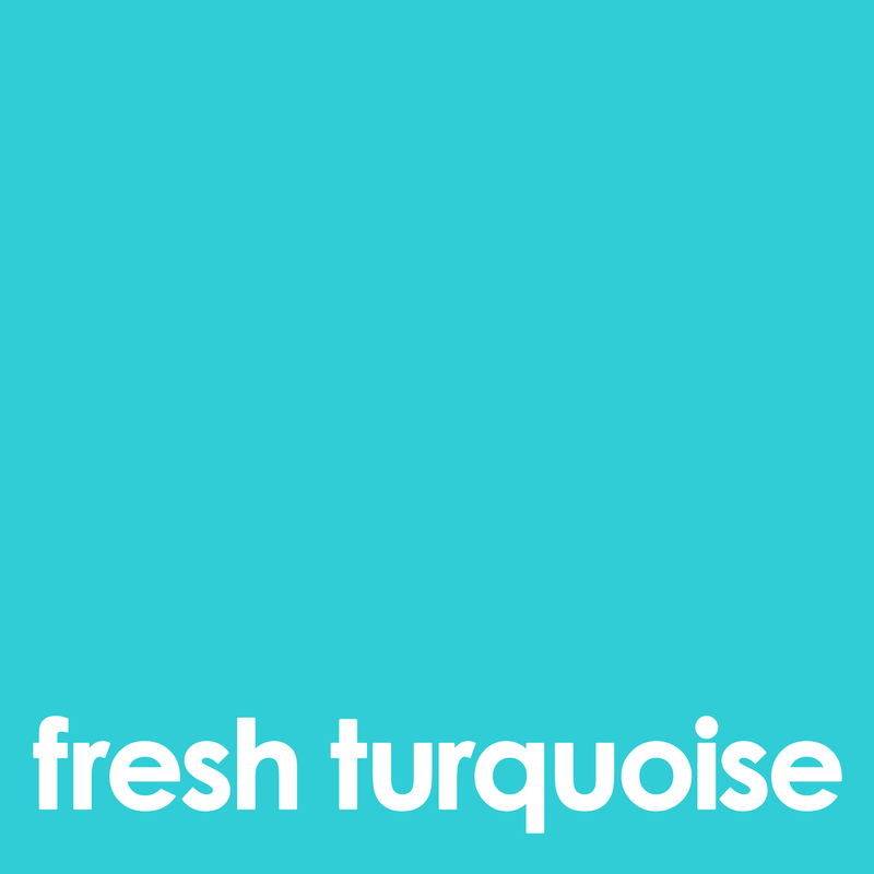 Fresh Turquoise PRO Makeup Eraser