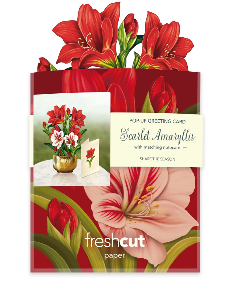 Mini Scarlett Amaryllis Pop Up Greeting Card