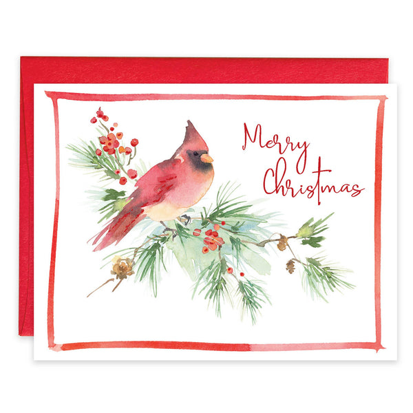 Box/Pack Christmas Card - Cardinal on Pine: Clear Pack of 10