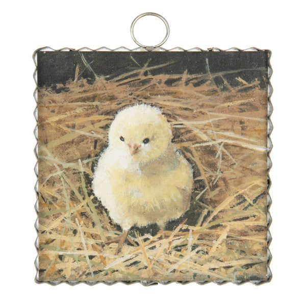 Mini Baby Chick