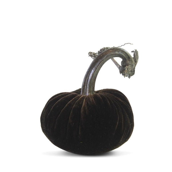 Chocolate Pumpkin