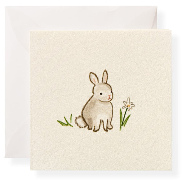 Greeting Card - Bunny Gift Enclosure