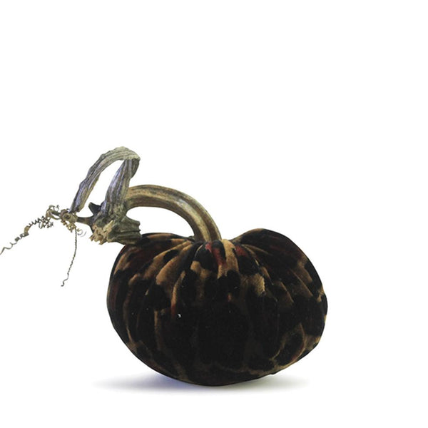 Leopard Pumpkin