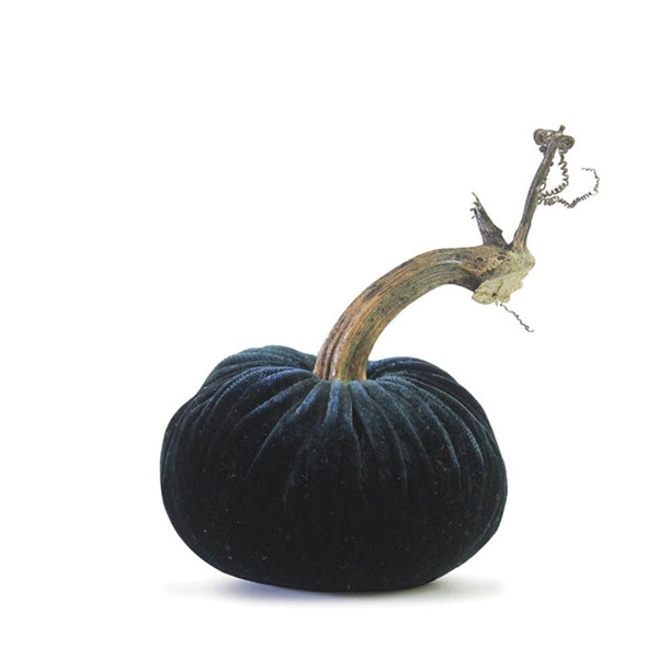 3" Teal Pumpkin