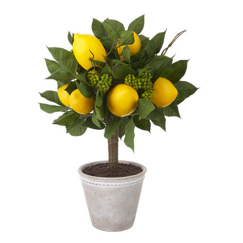16” Potted Lemon Topiary